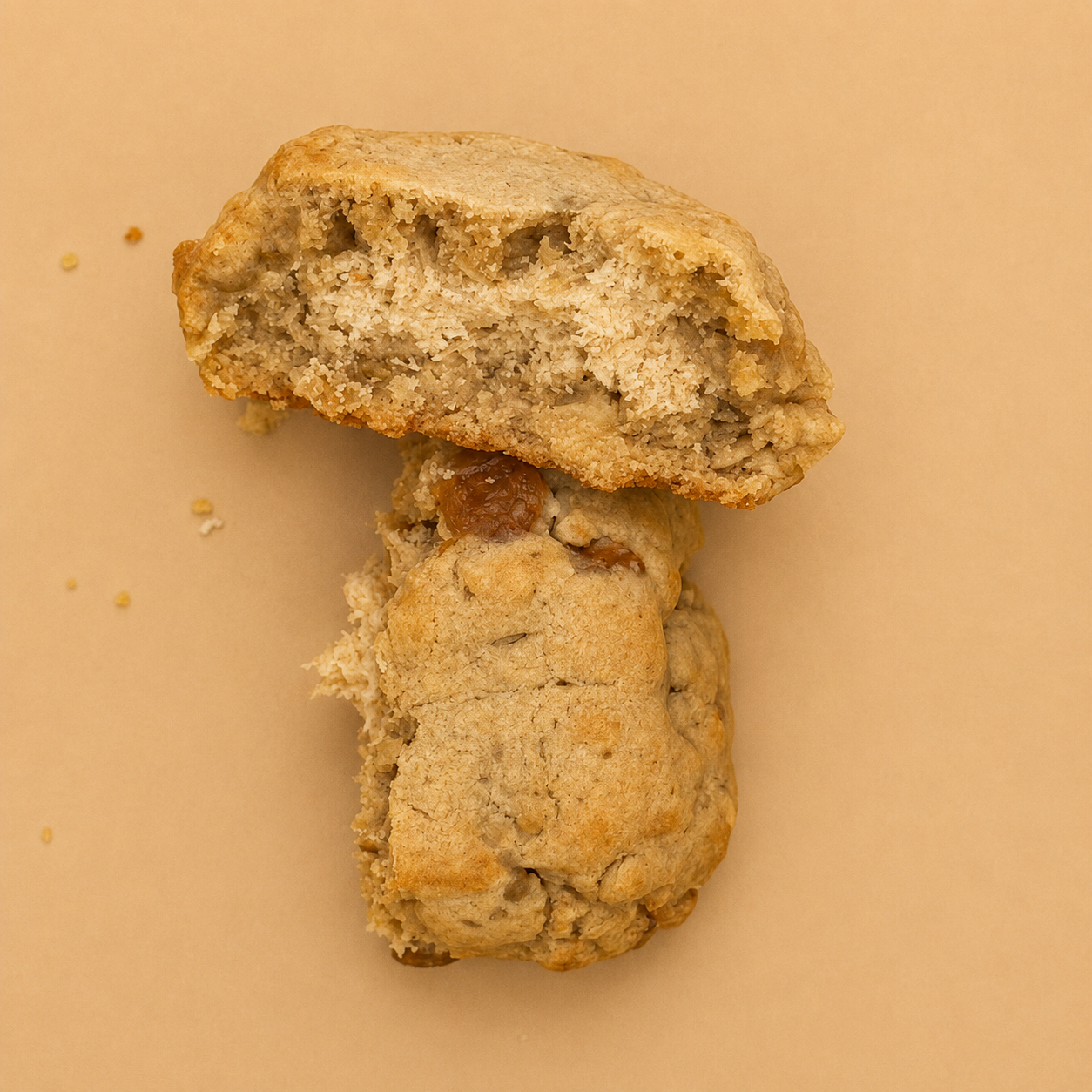 Amber Harvest — Oat , Raisin & Walnut (Stuffed)