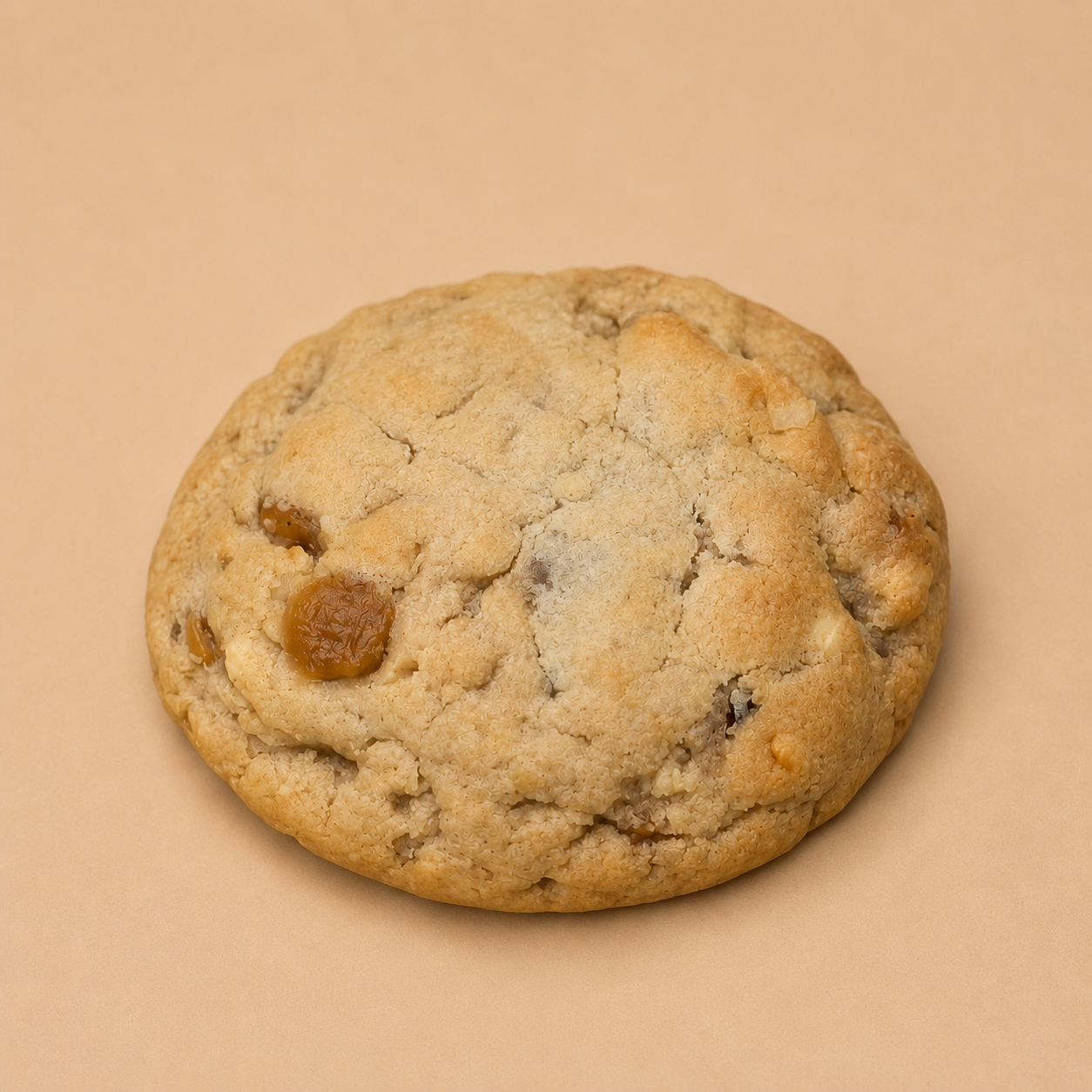 Amber Harvest — Oat , Raisin & Walnut (Stuffed)