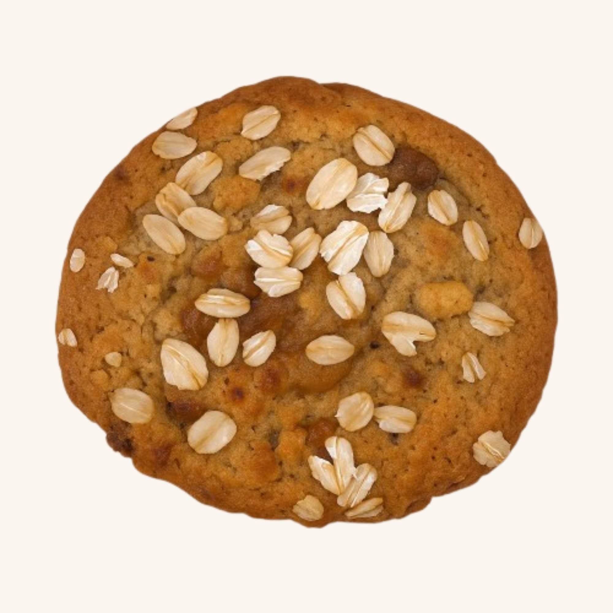 Amber Harvest — Oat & Raisin (Stuffed)