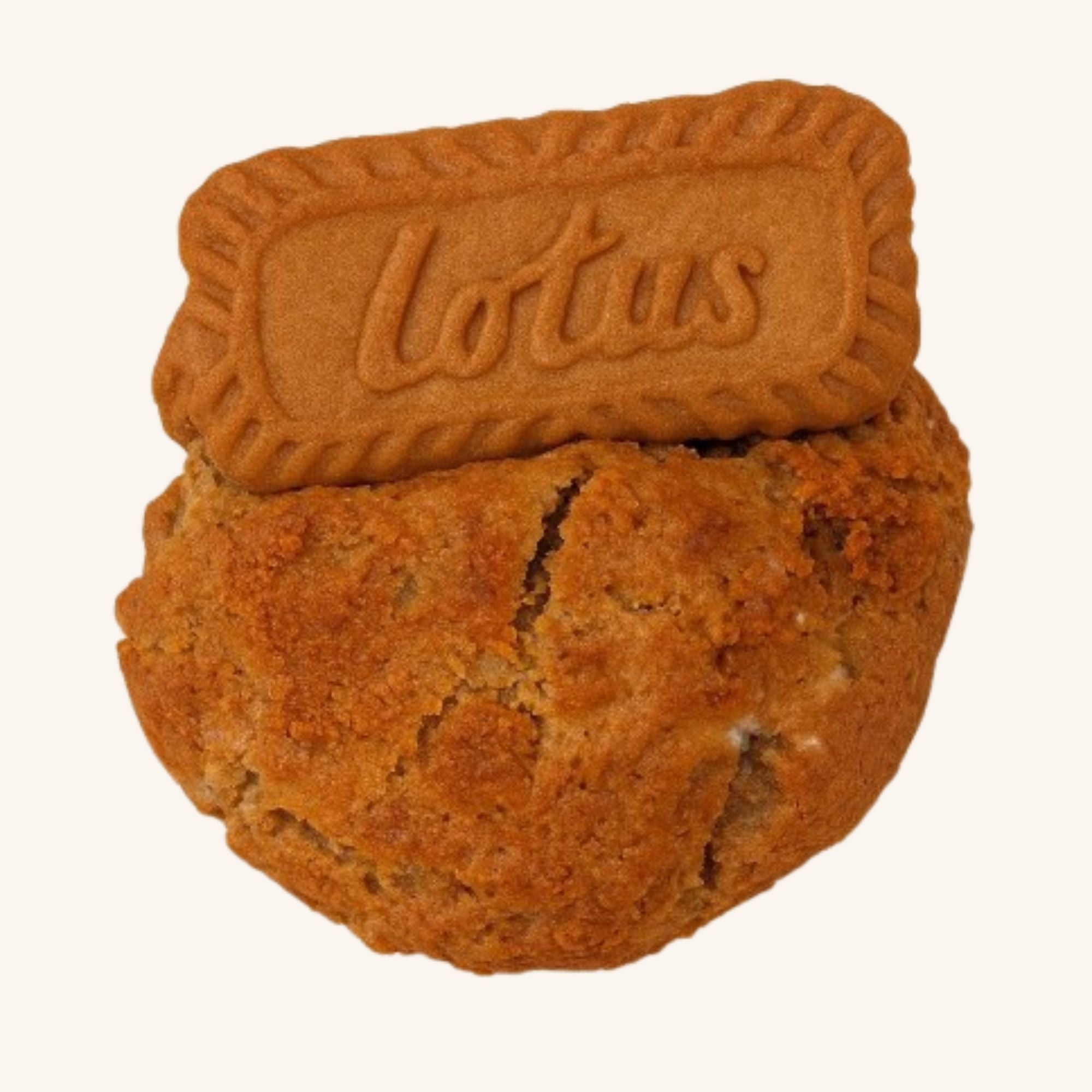 Golden Dune — Lotus/Biscoff Caramel (Stuffed)